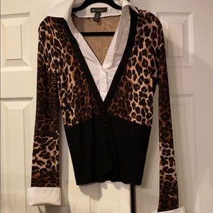 Sweater w white button up blouse